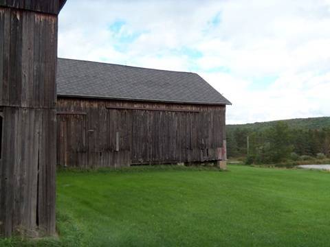 hcl_pic03_barn_canadice_coykendall_ward_2011_resize480