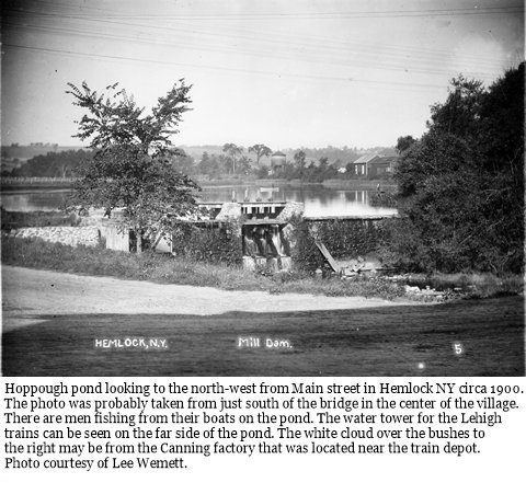 hcl_community_hemlock_1900c_mill_dam02_resize480x344