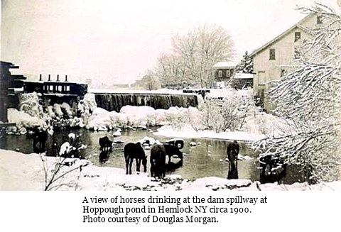 hcl_community_hemlock_1900c_mill_pond01_horses_resize480x268