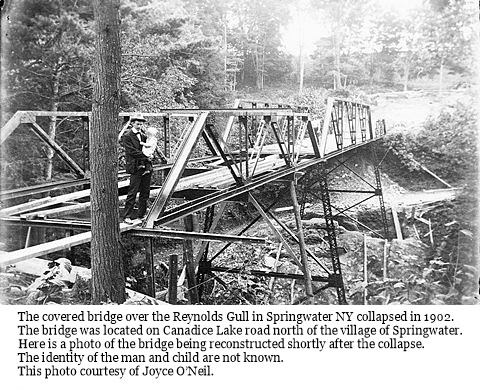 hcl_community_springwater_1902_bridge_reynolds_gull01_resize480x305