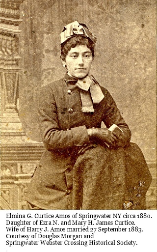 hcl_people_amos_curtice_elmina_1880c_resize320x426