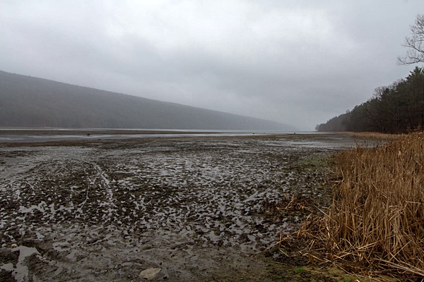 hcl_photo_dangler_dan_2022_pic04_lake_scene_hemlock_looking_north_resize600x400