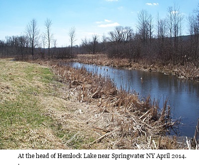 hcl_photo_gallery_tripp_judy_head_of_hemlock_lake_april_2014_pic04_resize400x300