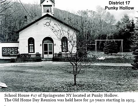 hcl_school_springwater_house_num17_19xx_punky_hollow_resize480x321
